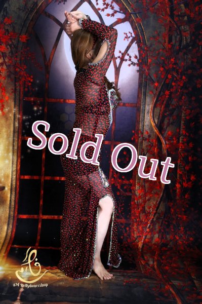 画像4: バラディNo,365 (4)