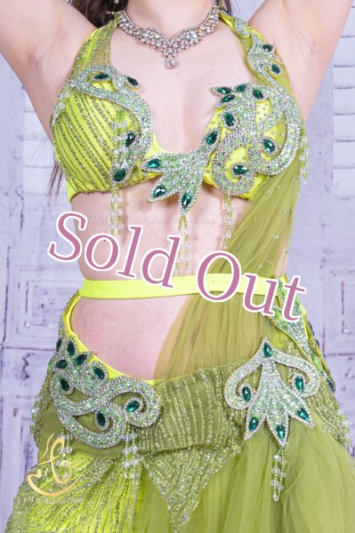 画像4: Aziza No,209 (4)