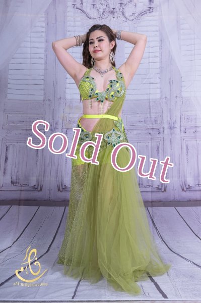 画像1: Aziza No,209 (1)