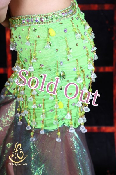 画像10: Camelia No,5 (10)