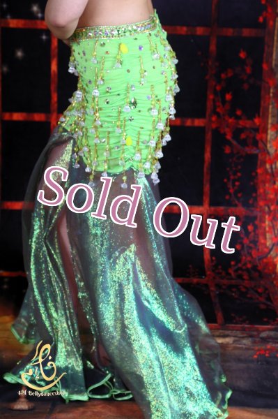 画像8: Camelia No,5 (8)