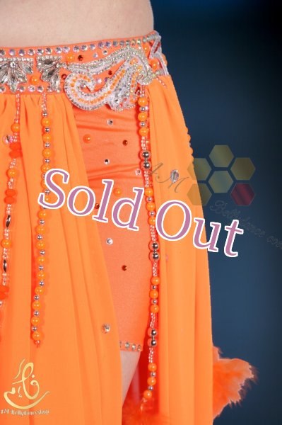 画像5: Fotona Okasha No,14 (5)