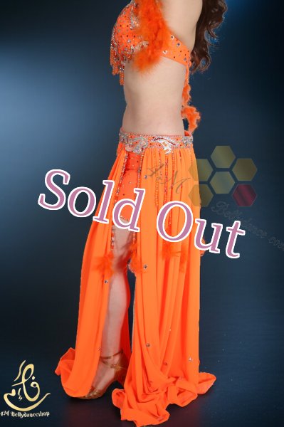 画像9: Fotona Okasha No,14 (9)