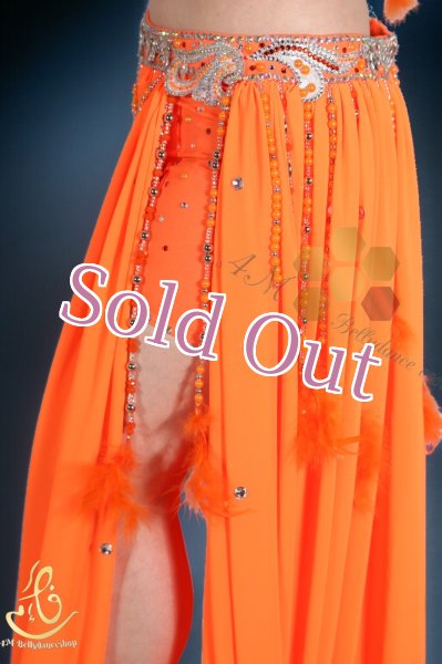 画像10: Fotona Okasha No,14 (10)