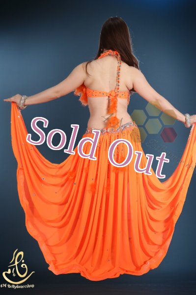 画像11: Fotona Okasha No,14 (11)