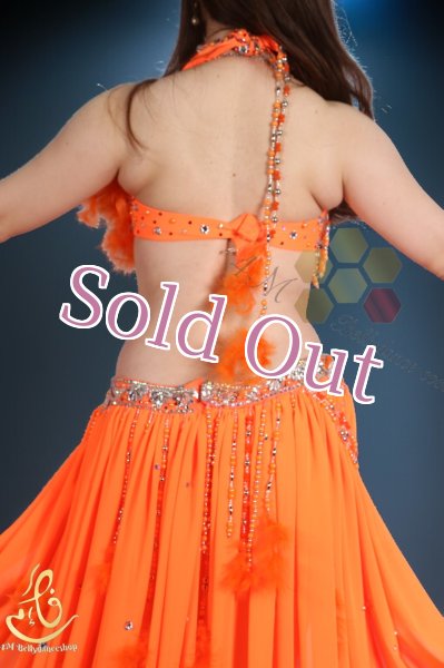 画像12: Fotona Okasha No,14 (12)