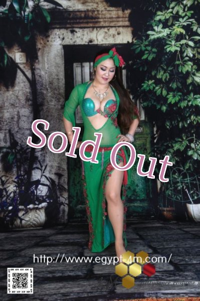 画像1: バラディNo,95 (1)