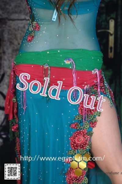 画像9: バラディNo,96 (9)