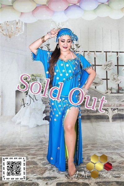 画像1: バラディNo,100 (1)