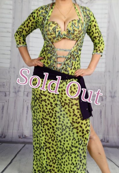 画像1: バラディNo,282 (1)