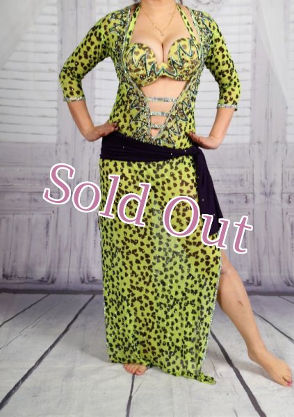 画像2: バラディNo,282 (2)