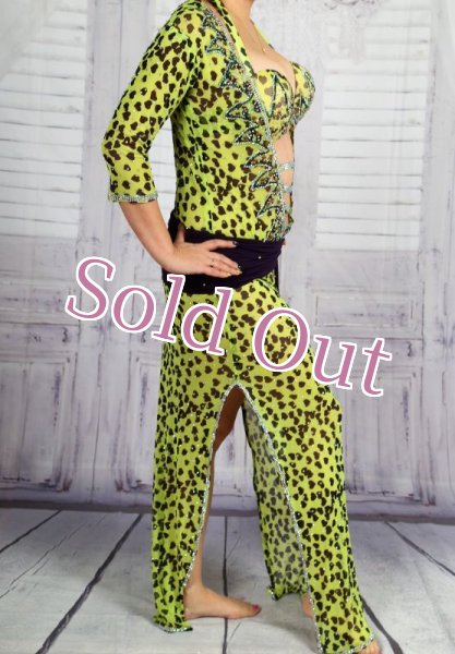 画像4: バラディNo,282 (4)