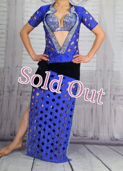 画像1: バラディNo,273 (1)