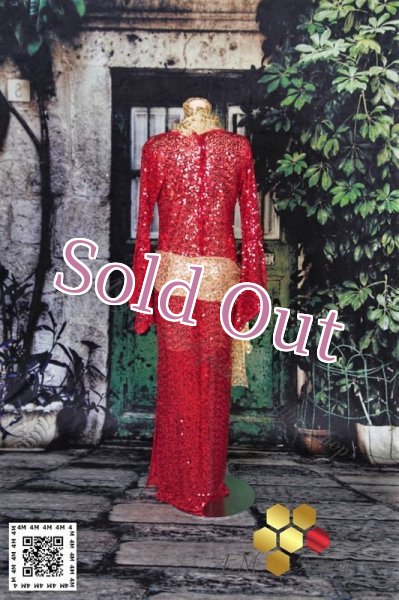 画像6: バラディNo,144 (6)