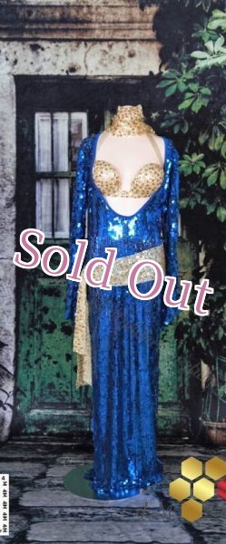 画像1: バラディNo,145 (1)