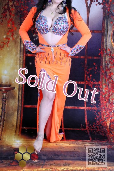 画像3: バラディNo,64 (3)