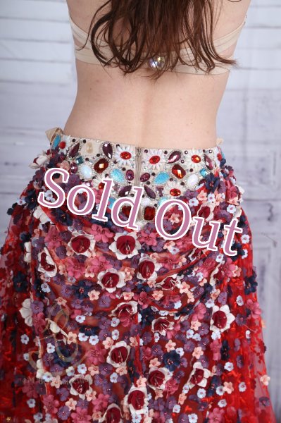 画像8: Aziza No,195 (8)