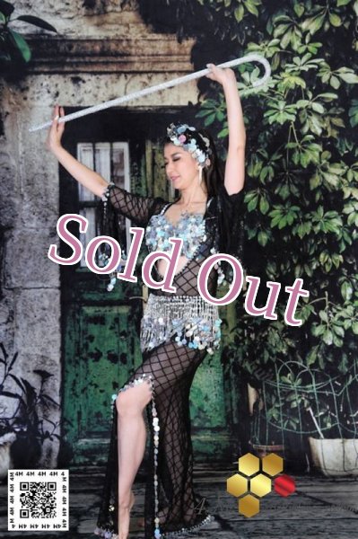 画像2: サイディ (2)