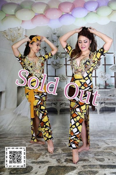 画像8: バラディNo,202 (8)