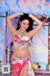 画像2: Aziza No,111 (2)