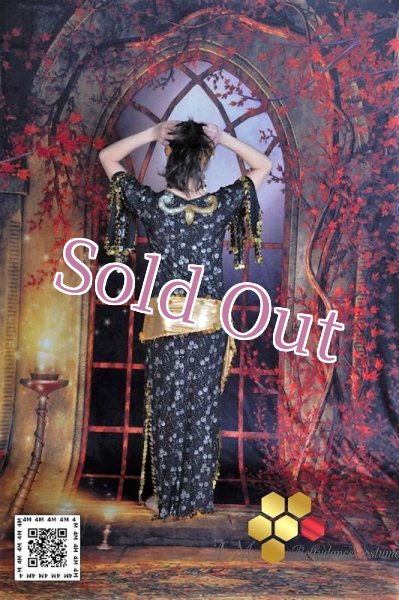 画像4: サイディドレス（3点セット (4)