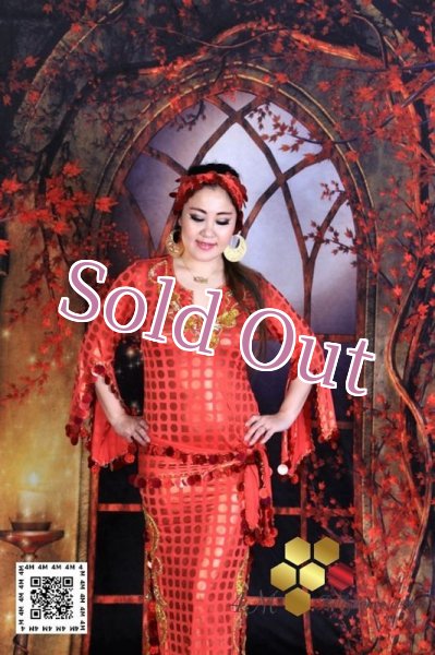 画像2: サイディドレス（3点セット (2)