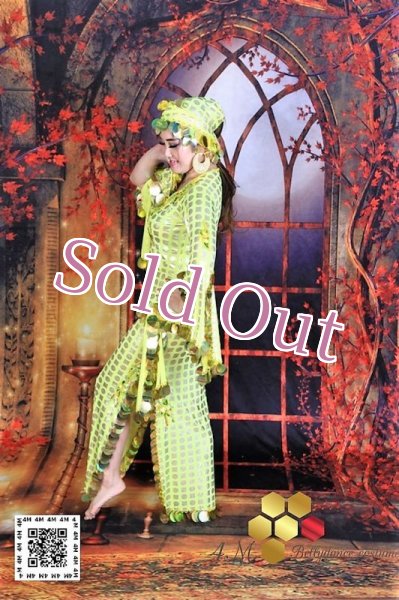 画像2: サイディドレス（3点セット (2)