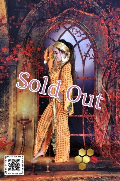 画像2: サイディドレス（3点セット (2)