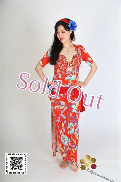 画像1: バラディNo,187 (1)