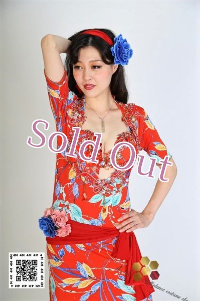 画像4: バラディNo,187 (4)