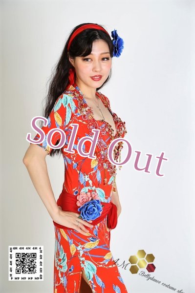 画像6: バラディNo,187 (6)