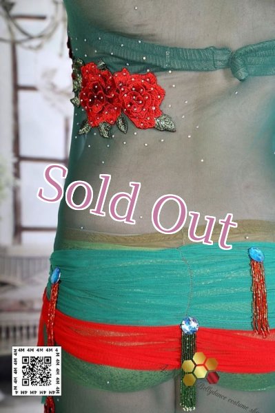 画像6: バラディNo,222 (6)