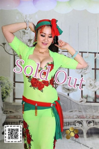 画像2: バラディNo,223 (2)