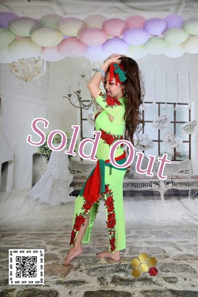 画像4: バラディNo,223 (4)