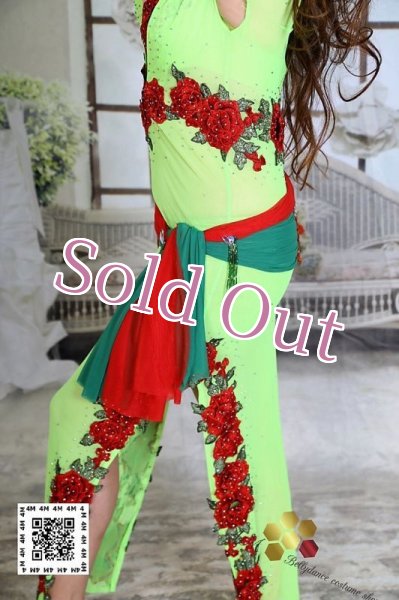 画像5: バラディNo,223 (5)