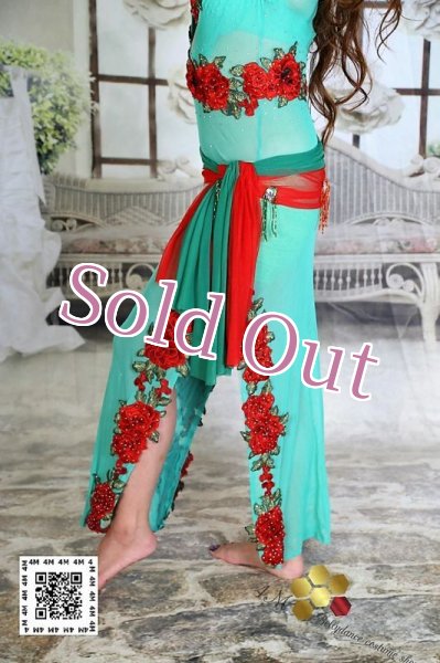 画像5: バラディNo,224 (5)