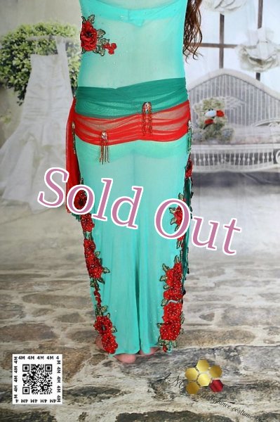 画像7: バラディNo,224 (7)