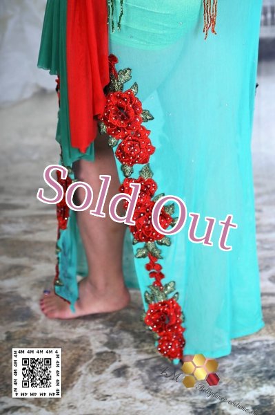 画像8: バラディNo,224 (8)