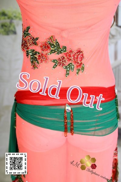 画像9: バラディNo,226 (9)