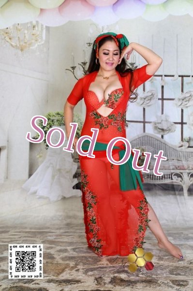 画像3: バラディNo,229 (3)