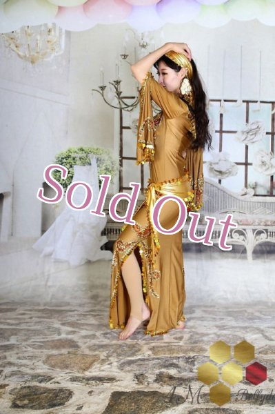 画像4: サイディドレス（3点セット (4)