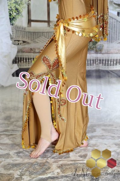 画像5: サイディドレス（3点セット (5)