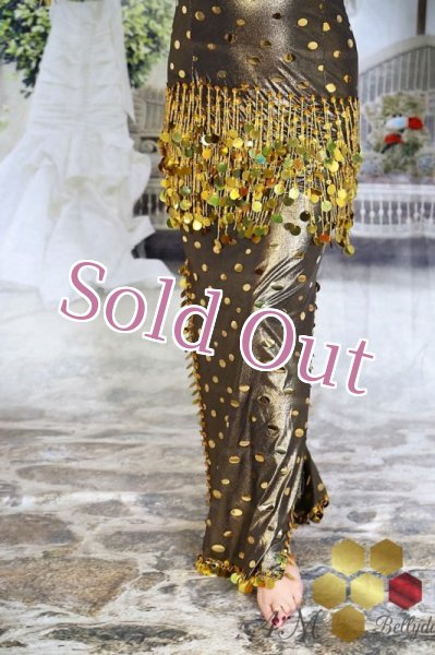 画像3: サイディ  (3)