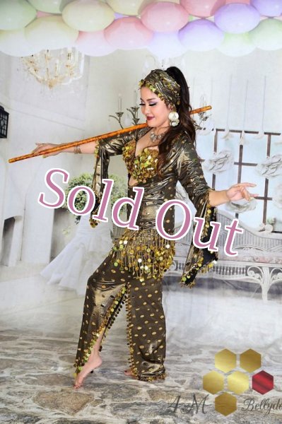 画像7: サイディ  (7)