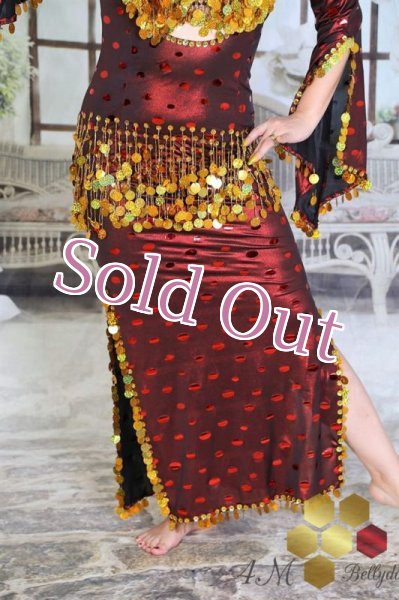 画像6: サイディ  (6)