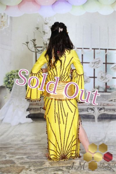 画像5: サイディドレス（3点セット (5)