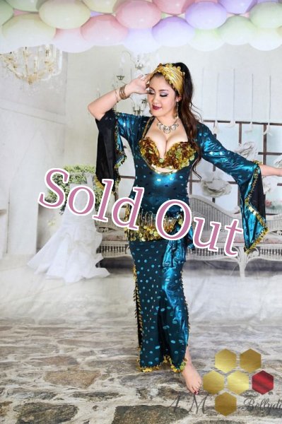 画像1: サイディ  (1)