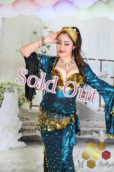 画像2: サイディ  (2)