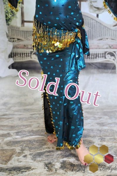 画像3: サイディ  (3)