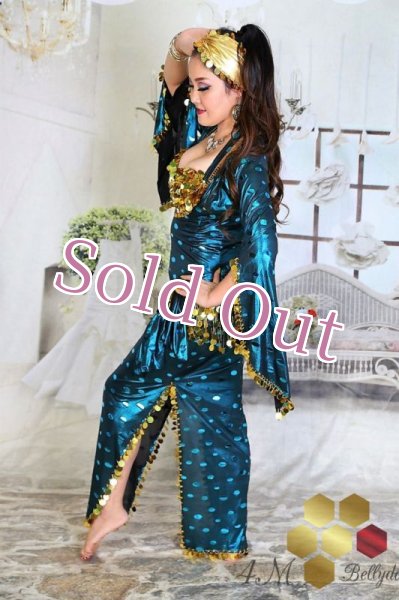 画像5: サイディ  (5)